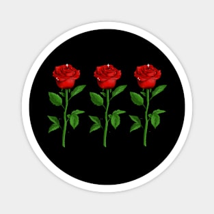 Three red roses Magnet